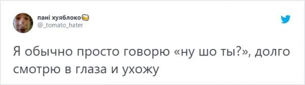 &quot;О чем вы говорите со своими животными?&quot;: забавных тред о питомцах в Твиттере