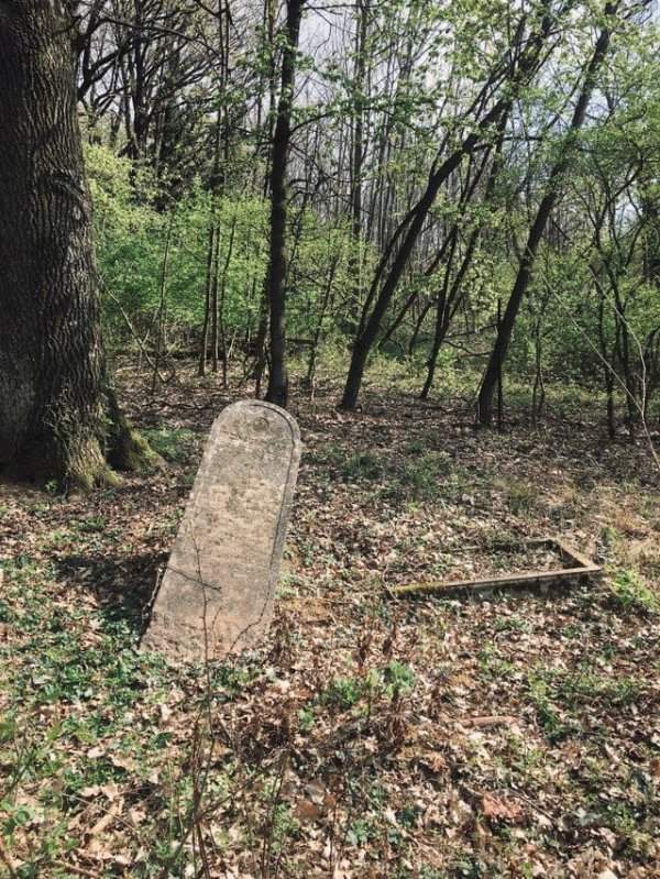 Одинокая заброшенная могила в лесу, Австрия
