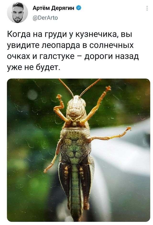 Подборка забавных твитов обо всем Подборка забавных твитов обо всем