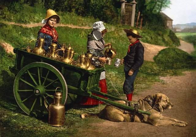 Уличные торговцы молоком. Бельгия, 1890 год.