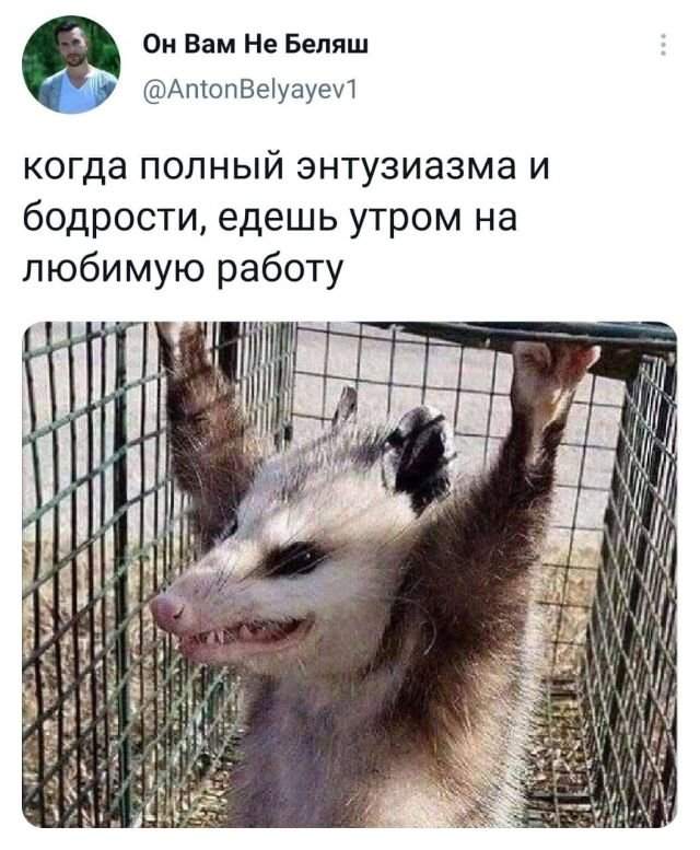 Подборка забавных твитов обо всем Подборка забавных твитов обо всем
