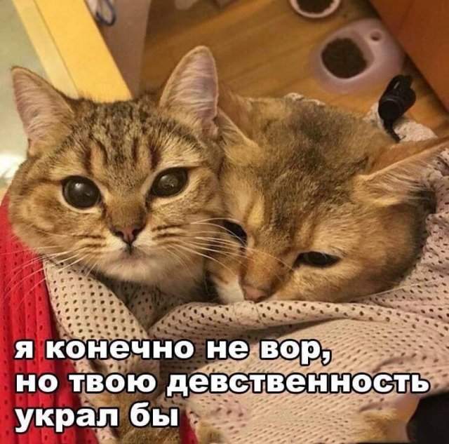 Мемы и приколы про &quot;это&quot;