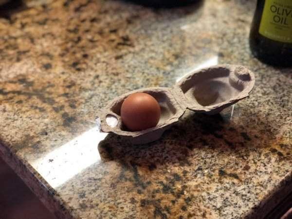 Однушка для яйца