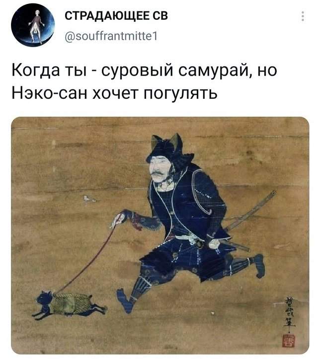 Подборка забавных твитов обо всем Подборка забавных твитов обо всем