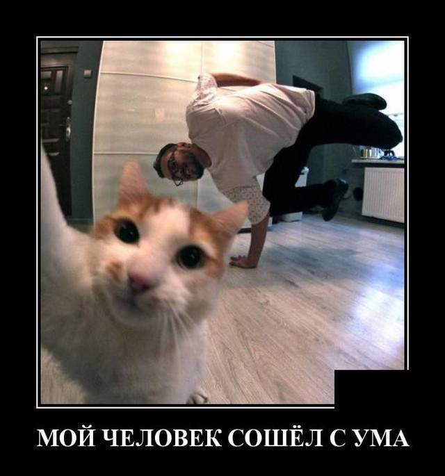 Демотиваторы (20 фото) - 27.05.2021 Демотиваторы (20 фото) - 27.05.2021