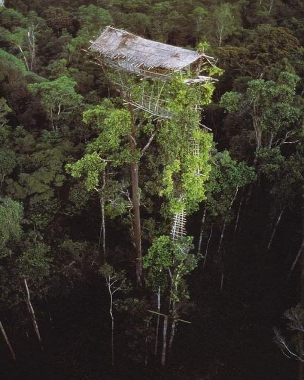 Пустующий дом одного из коренных племён Бразилии