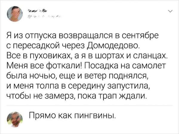 Подборка забавных комментариев Подборка забавных комментариев