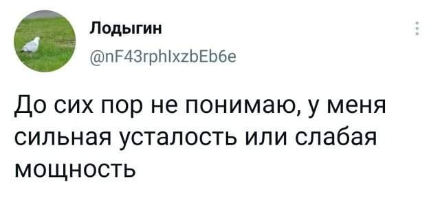 Подборка забавных твитов обо всем