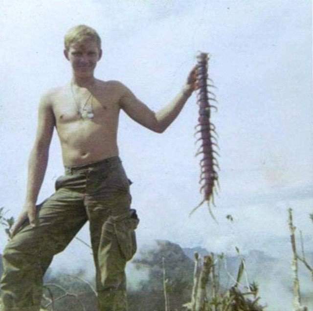 Американский солдат и пойманная во вьетнамских джунглях сколопендра, Вьетнамская война.