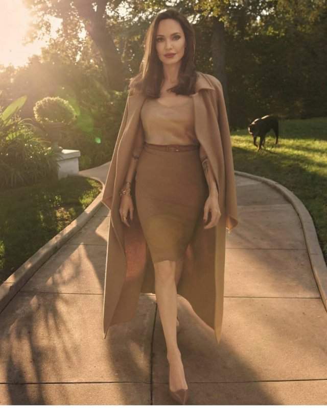Анджелина Джоли в коричневом костюме