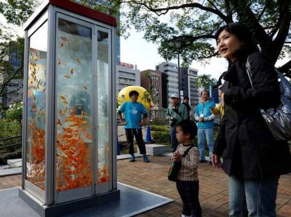 В Японии из старых телефонных будок сделали красочные аквариумы