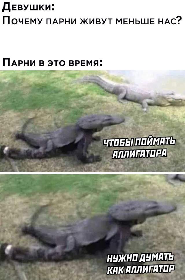 Смешные картинки вечер 9 июня 2021 Смешные картинки вечер 9 июня 2021