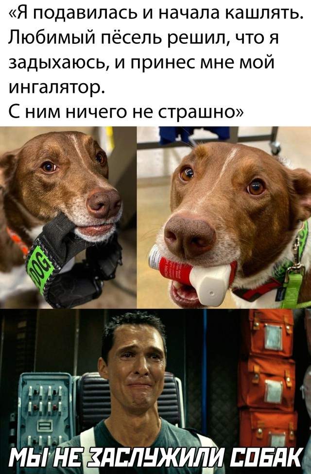 Смешные картинки 10 июня 2021 Смешные картинки 10 июня 2021