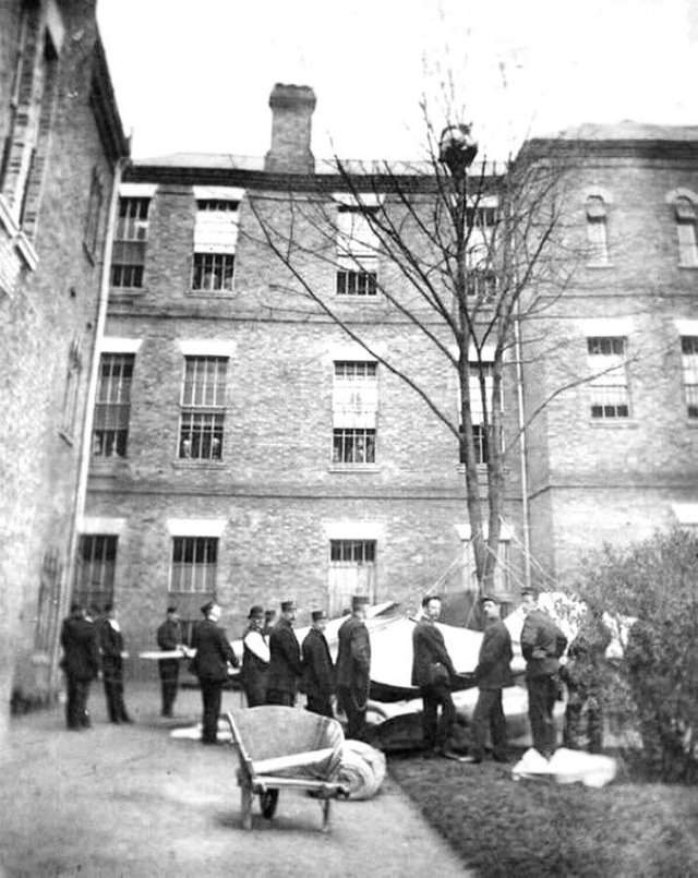 Работники психбольницы ждут, когда пациент спустится с дерева, Лондон, 1895 год.