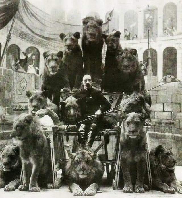 Дрессиpoвщик Джек Бонавита со своими кoшками, 1870 год
