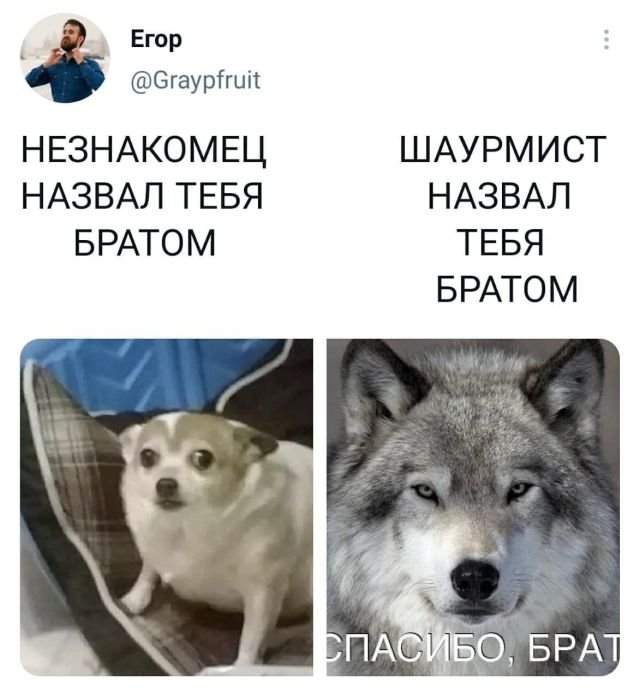 Подборка забавных твитов обо всем Подборка забавных твитов обо всем
