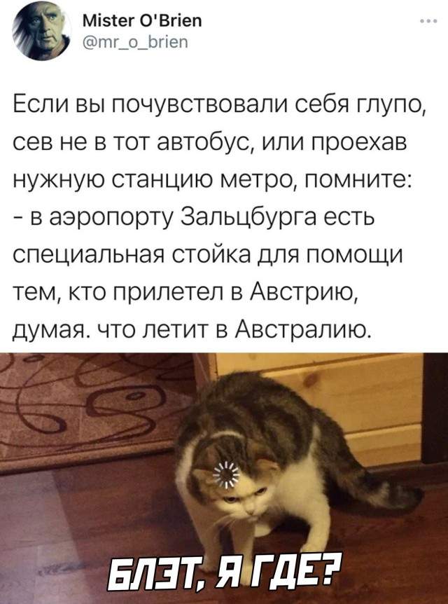 Смешные картинки вечер 17 июня 2021 Смешные картинки вечер 17 июня 2021