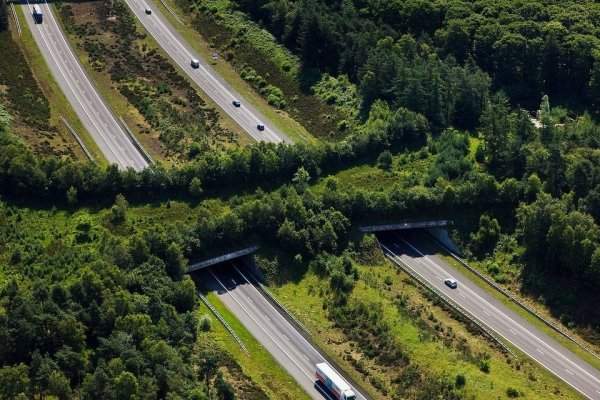Экодук над шоссе A1 в Нидерландах