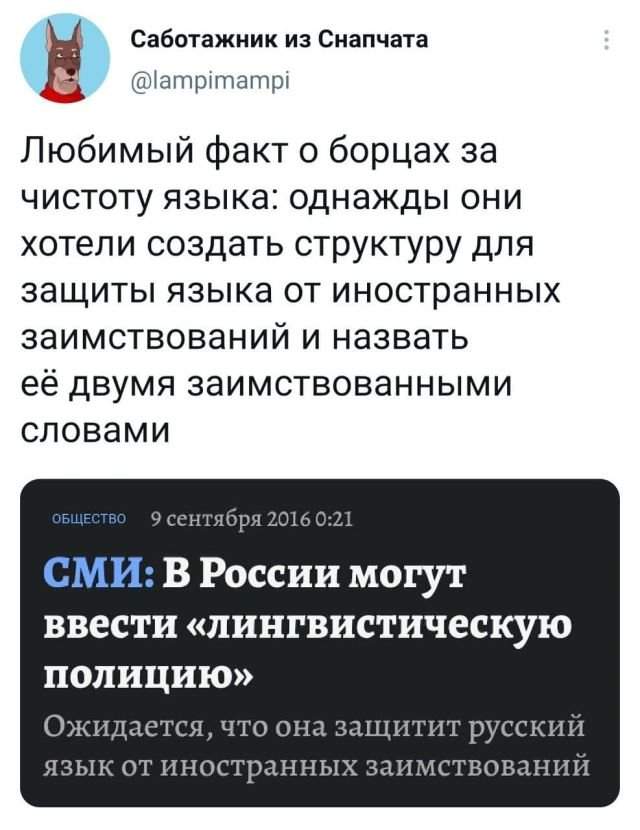 Подборка забавных твитов обо всем