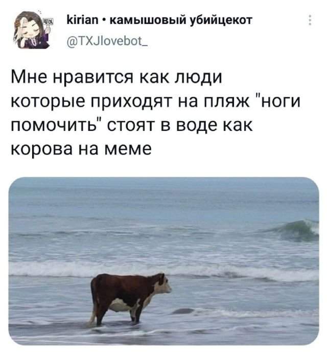 Подборка забавных твитов обо всем Подборка забавных твитов обо всем