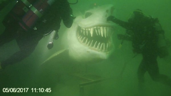 Подводная статуя в виде акулы в Невшательском озере, Швейцария
