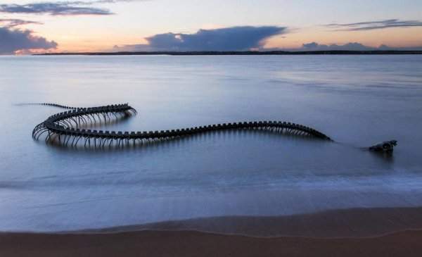 130-метровая скульптура «Морской змей» на пляже Сен-Бревин-ле-Пинс, Франция