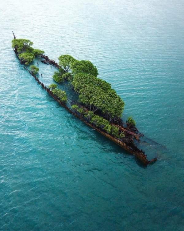 Затонувший корабль превратился в небольшой остров