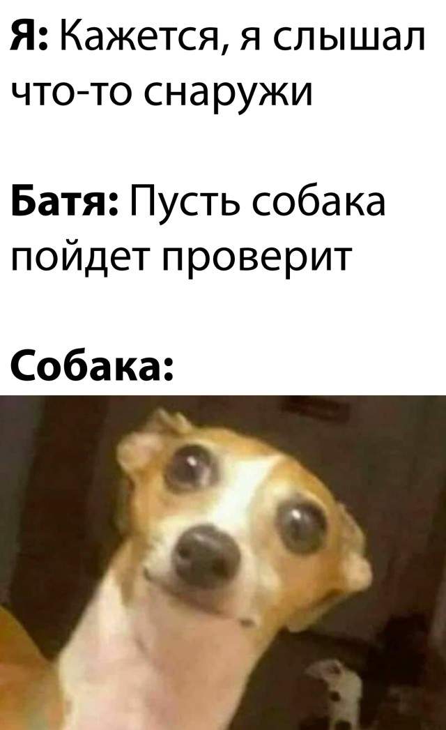 Смешные картинки 6 июля 2021 Смешные картинки 6 июля 2021