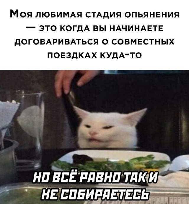 Смешные картинки 6 июля 2021 Смешные картинки 6 июля 2021