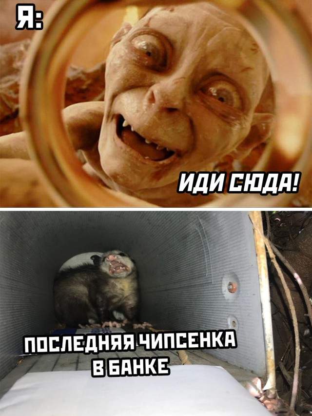 Смешные картинки 6 июля 2021 Смешные картинки 6 июля 2021