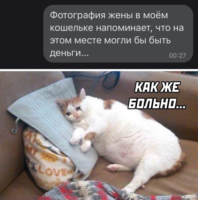 Смешные картинки 6 июля 2021 Смешные картинки 6 июля 2021