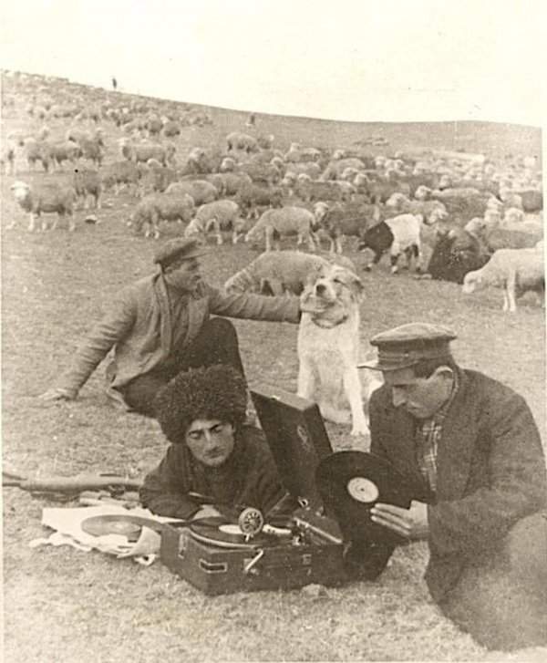 Пастухи слушают музыку