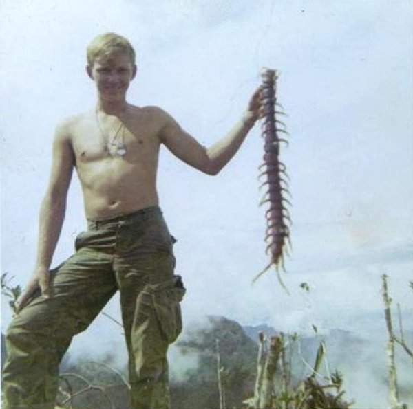 Солдат держит в руках вьетнамскую сколопендру