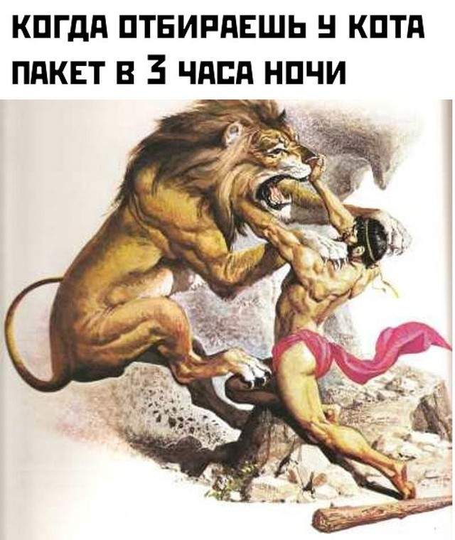 Смешные картинки 12 июля 2021 Смешные картинки 12 июля 2021