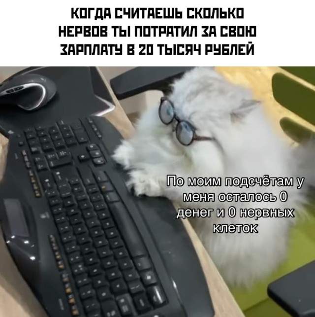 Смешные картинки 22 июля 2021 Смешные картинки 22 июля 2021