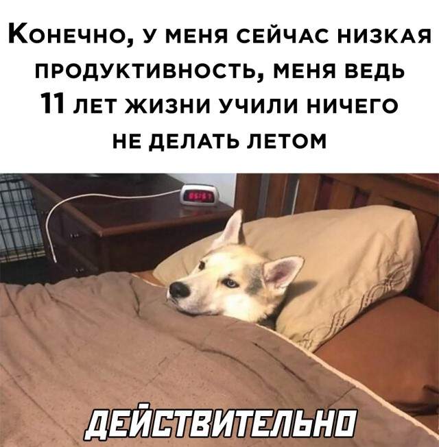 Смешные картинки 22 июля 2021 Смешные картинки 22 июля 2021