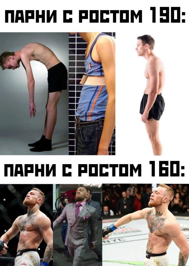 Смешные картинки 22 июля 2021 Смешные картинки 22 июля 2021