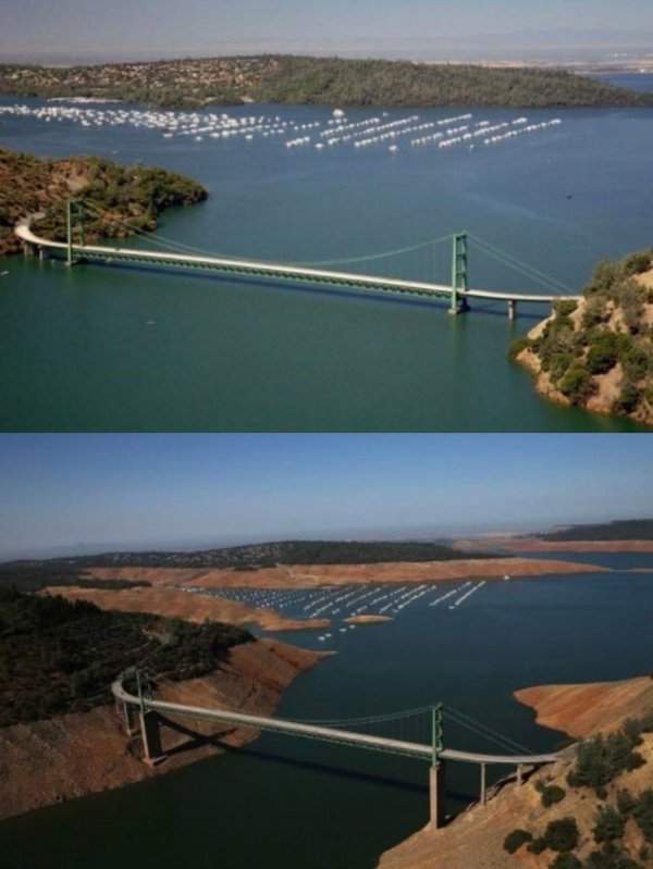 Результат засухи в Калифорнии в 2014 году