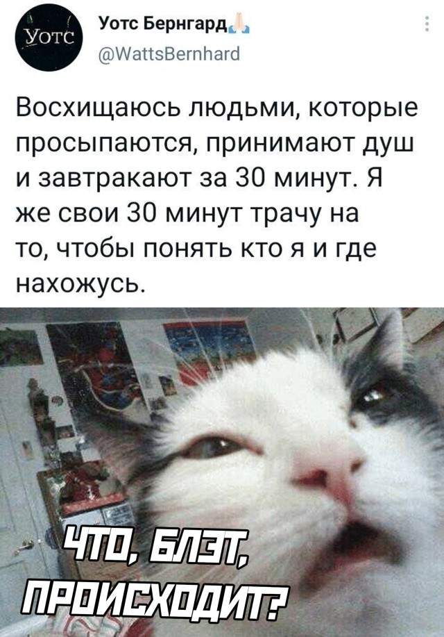 Смешные картинки 26 июля 2021 года Смешные картинки 26 июля 2021 года