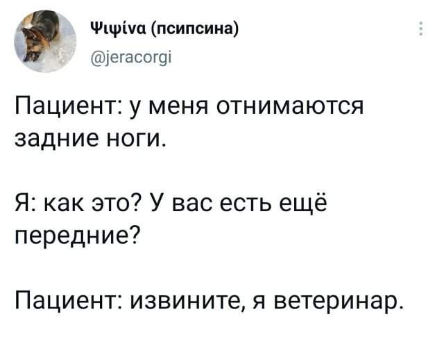 Подборка забавных твитов обо всем Подборка забавных твитов обо всем