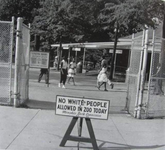 «Чёрный день» — день, в который в зоопарк Мемфиса ходят только люди определенной расы, 1959 год.