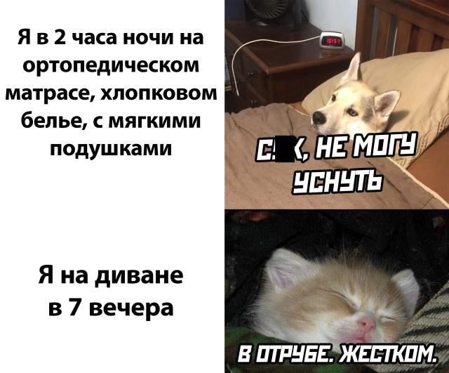 Смешные картинки вечер 2 августа 2021 Смешные картинки вечер 2 августа 2021