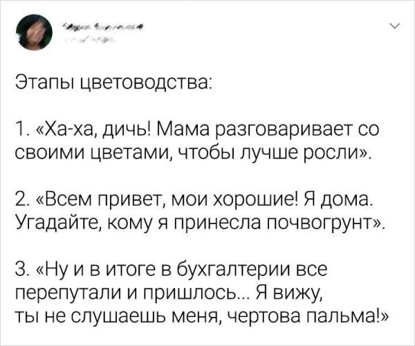 Подборка забавных твитов Подборка забавных твитов