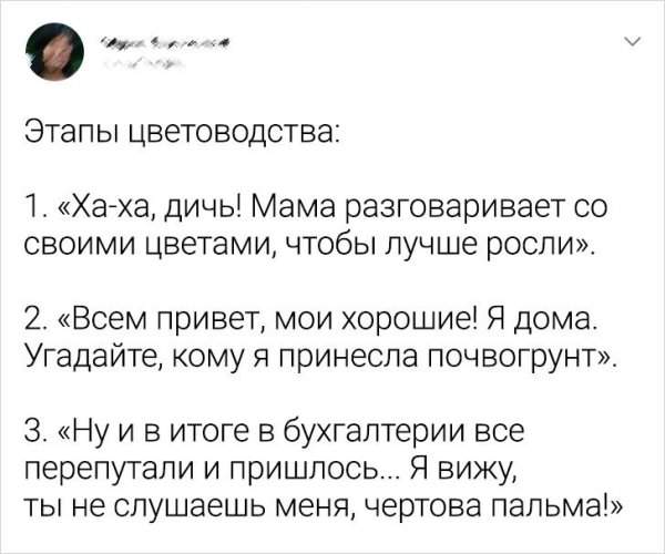 Подборка забавных твитов