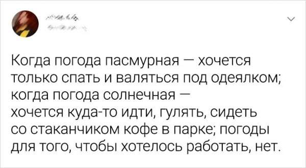 Подборка забавных твитов Подборка забавных твитов