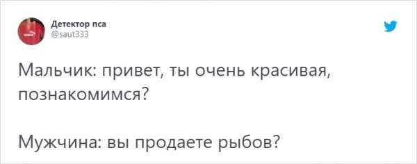 &quot;Вы продоёте рыбов?&quot;: новый мем с котиками, который захватил соцсети