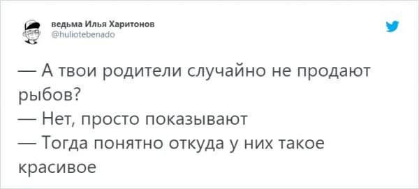 &quot;Вы продоёте рыбов?&quot;: новый мем с котиками, который захватил соцсети