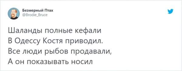 &quot;Вы продоёте рыбов?&quot;: новый мем с котиками, который захватил соцсети