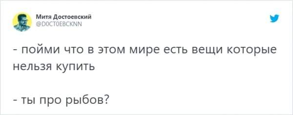 &quot;Вы продоёте рыбов?&quot;: новый мем с котиками, который захватил соцсети