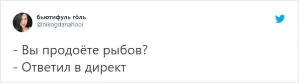 &quot;Вы продоёте рыбов?&quot;: новый мем с котиками, который захватил соцсети